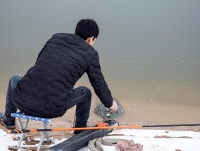 钓鱼高手的提竿刺鱼技巧（掌握关键技巧，成功提竿刺鱼）