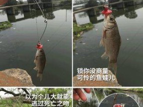海上钓鱼最大的鱼钩怎么用？有哪些技巧可以提高成功率？
