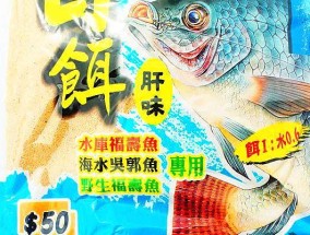 提高钓鱼比赛技巧的白饵秘籍（白饵技巧助你在钓鱼比赛中脱颖而出）