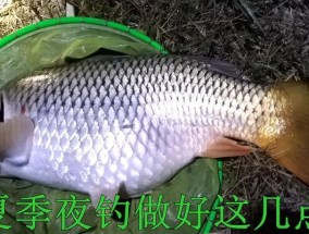 夏夜钓鱼的4个注意事项（夜钓技巧、装备选择、注意安全、钓鱼场所）