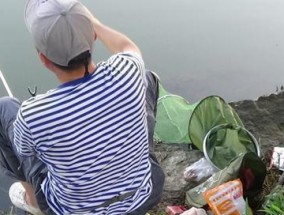 夜钓猪肝打窝的技巧与方法（掌握窍门）