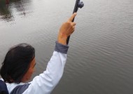 海杆在池塘钓鱼的技巧（提高成功率的关键是_________（）