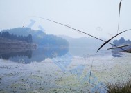 冬天钓鱼不开口怎么办？掌握这些技巧轻松应对！