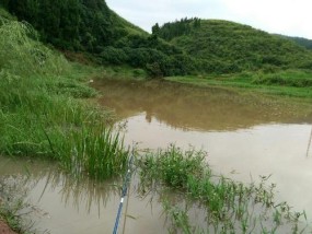 冬季水库钓草鱼技巧（挑战冰冷寒冬）