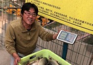 冬日大棚钓鱼技巧有哪些？如何提高钓鱼成功率？