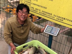 冬日大棚钓鱼技巧有哪些？如何提高钓鱼成功率？