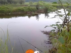 钓鱼寻找窝的技巧（水草塘中寻找理想钓鱼位置的秘诀）