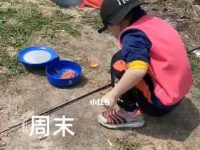 大土蚯蚓钓鱼技巧有哪些？如何提高钓鱼成功率？