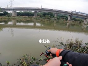 如何选择最佳钓鱼位置？掌握这些技巧轻松钓大鱼！