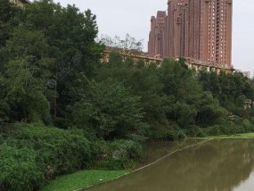 如何掌握钓鱼看盘技巧教程？常见问题有哪些？