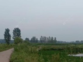 大物坑垂钓技巧有哪些？如何提高大物坑垂钓的成功率？