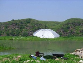 黑山底水库钓鱼技巧（掌握这些技巧）