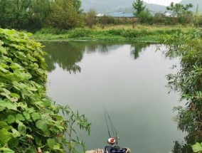 钓鱼人必看的五大技巧（提升钓鱼技巧，享受完美钓鱼体验）