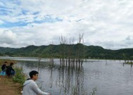 冬天风浪大钓鱼技巧是什么？如何应对风浪提高钓鱼成功率？
