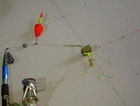 野钓鱼钩的选择与技巧（掌握正确的鱼钩选择）