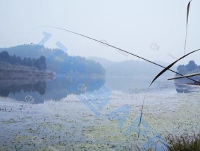 短线钓鱼绕线技巧和方法是什么？如何有效提高钓鱼效率？