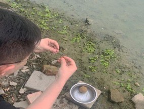 如何掌握钓鱼不散窝技巧？散窝后如何快速恢复？