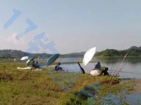 清明节过后钓鱼技巧（细说清明节后的高效钓鱼技巧）