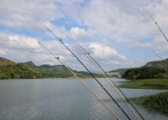 海南钓鱼知识与技巧有哪些？如何提高钓鱼技巧？