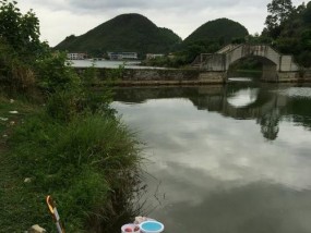 龙洞水库钓鱼技巧大揭秘（掌握龙洞水库钓鱼技巧）