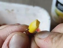如何有效结合钓鱼技巧和诱钓方法？