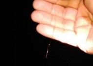 冬天夜钓大鱼技巧有哪些？如何提高夜钓成功率？