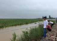 春天来临，钓鱼技巧大揭秘（开春野钓）