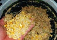 冬天野钓鲫鱼时应该使用哪些饵料配方？有哪些有效的钓鱼技巧？