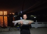 海竿钓草鱼有哪些技巧？野外钓草鱼的正确方法是什么？