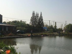 钓鱼技巧和方法大全（以鱼塘钓竿钓鱼）