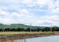 初夏多云天气下钓鱼技巧（享受多云天气下的钓鱼乐趣）