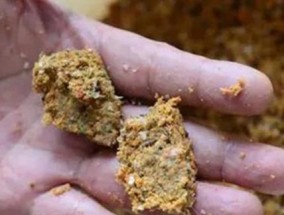 钓鱼不打窝技巧教程？如何提高钓鱼成功率？