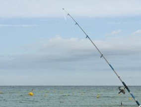 海钓绑钩，掌握钓鱼技巧的窍门（提高海钓技能）