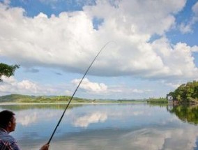 橄榄坝水库钓鱼技巧与方法（探寻橄榄坝水库钓鱼的诀窍）