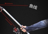 冬天如何抛竿钓底？掌握这些技巧提高渔获！
