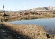 冬天野钓鱼技巧和方法是什么？如何提高冬季钓鱼成功率？