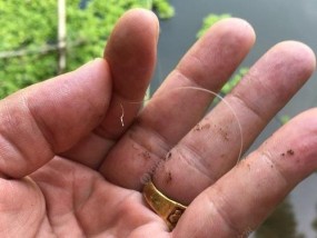 钓鱼不切线技巧解析（掌握技巧，提升钓鱼乐趣）