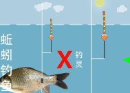 冬季夜晚灯光钓鱼技巧（钓鱼技巧）