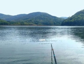 卧水山水库钓鱼技巧（探寻卧水山水库的钓鱼秘籍）