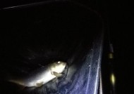 冬季夜钓鲤鱼的方法和技巧（寒冬之夜）