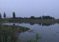 长方形野坑钓鱼技巧与方法（打造绝佳鱼窝）