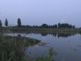 长方形野坑钓鱼技巧与方法（打造绝佳鱼窝）