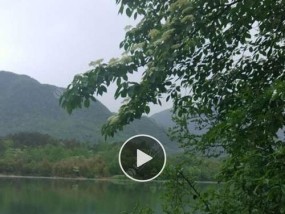 白水湖钓鱼钓位选择有哪些最新技巧？如何提高钓鱼成功率？