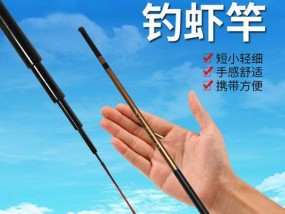钓鱼高招（高效捕获鱼类的秘密武器）