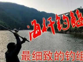 流水抛竿钓鲢鳙技巧大揭秘（掌握竿技鲢鳙在手）