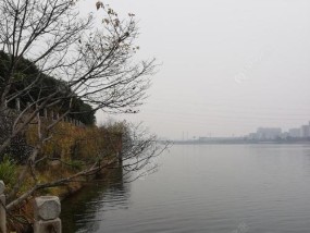 柳州钓友之家（从水中探求宝藏）