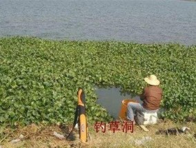 如何选择最佳钓鱼地点位置？掌握这些技巧了吗？