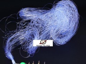霸王捆钓鱼技巧教程？如何提高钓鱼成功率？