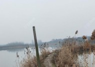 冬天雨后阴天钓鱼技巧是什么？如何提高钓鱼成功率？