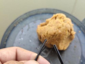 断竿钓鱼技巧教学（掌握钓鱼技巧）